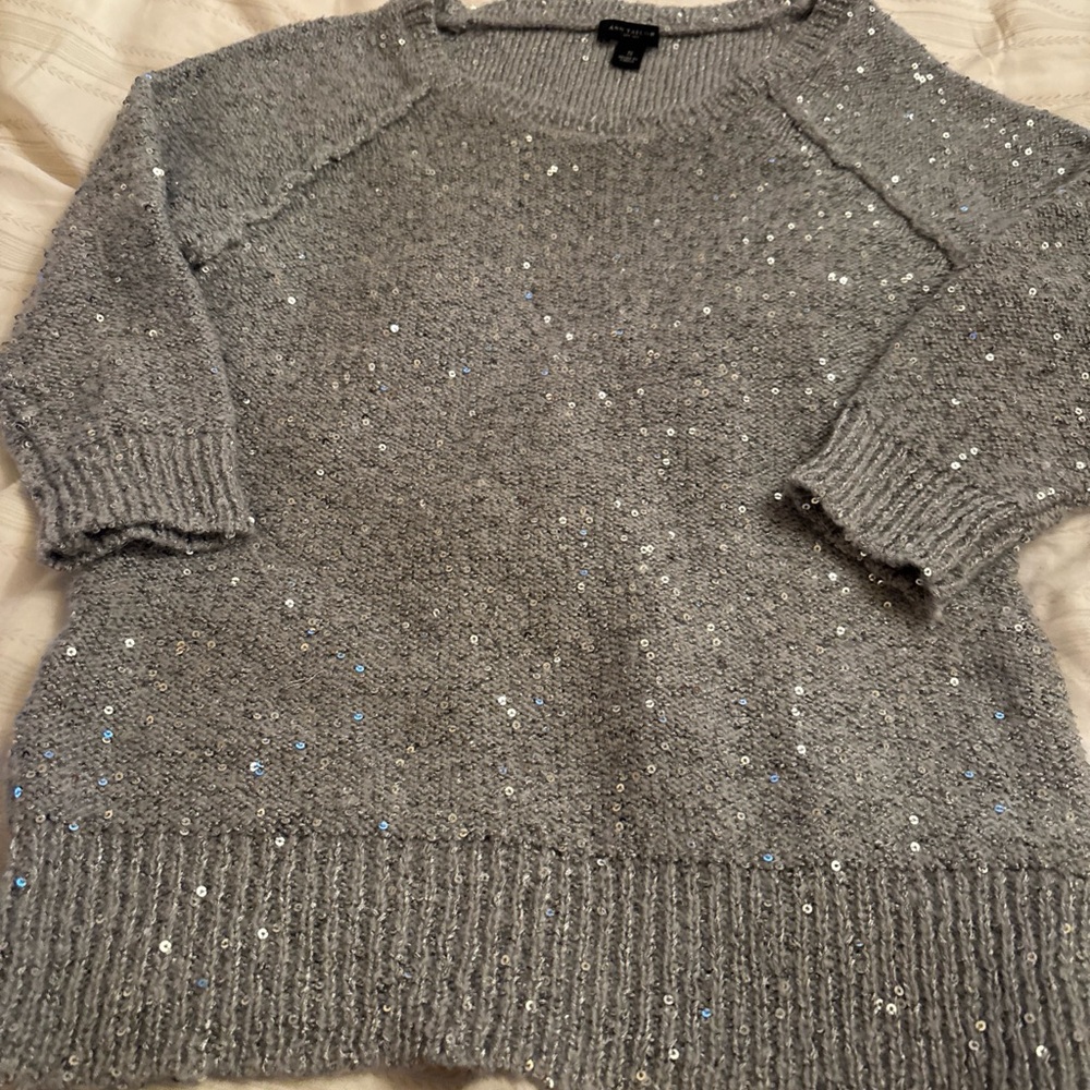 Ann Taylor Silver Sequin Sweater